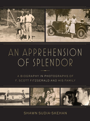 cover image of An Apprehension of Splendor